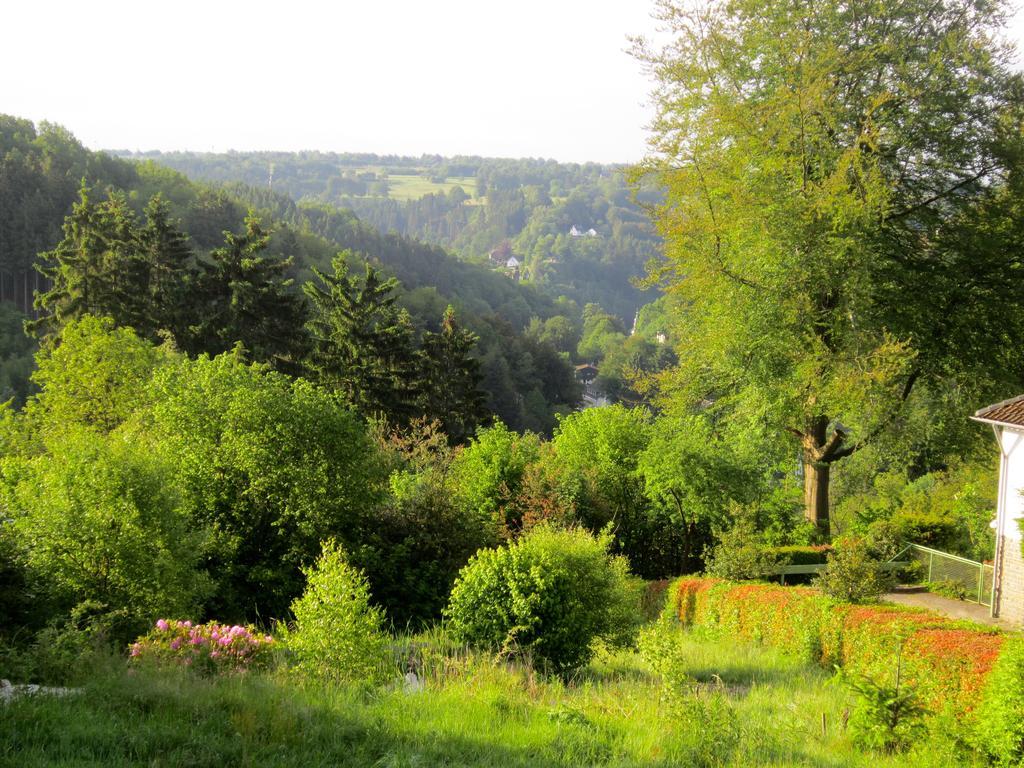 Het Groene Huis Monschau Dış mekan fotoğraf