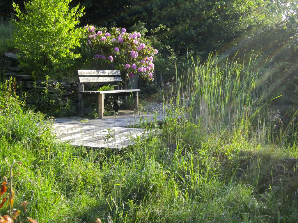 Het Groene Huis Monschau Dış mekan fotoğraf